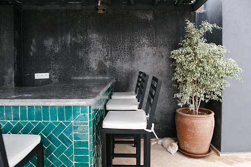 plant three black-and-white bar stools ahead morocco